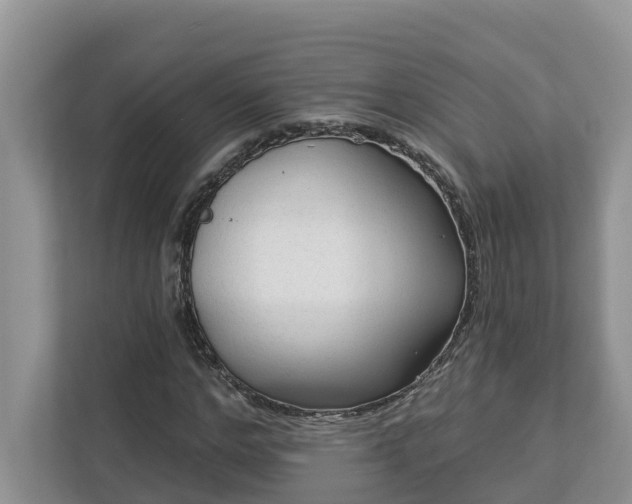 X0000113020968200909031228