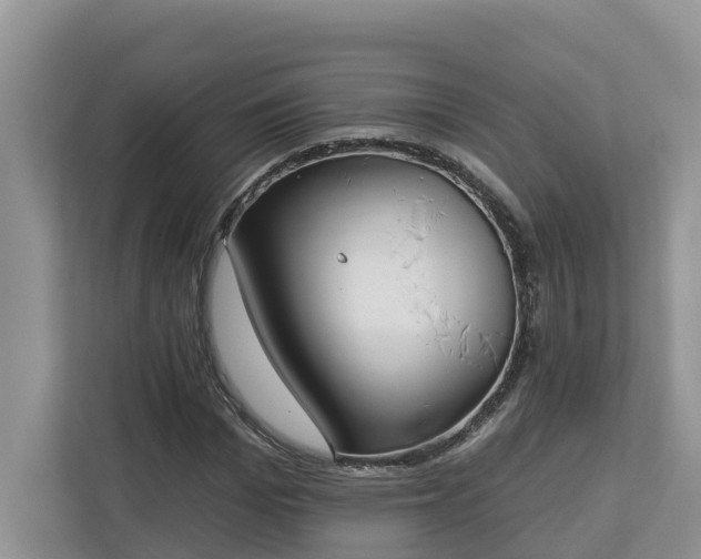 X0000113020969200909031228