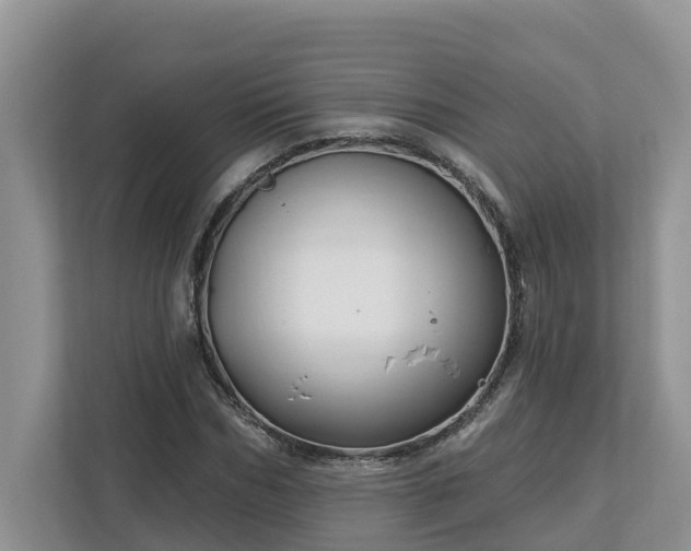 X0000113020970200909031228