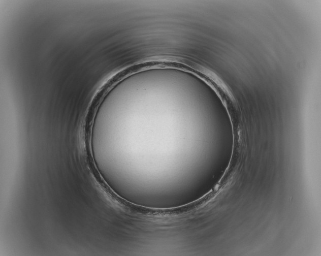 X0000113020972200909031228