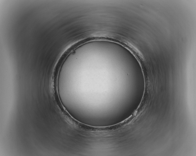 X0000113020976200909031228