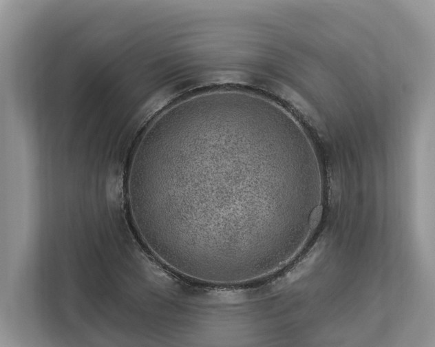 X0000113020977200909031228