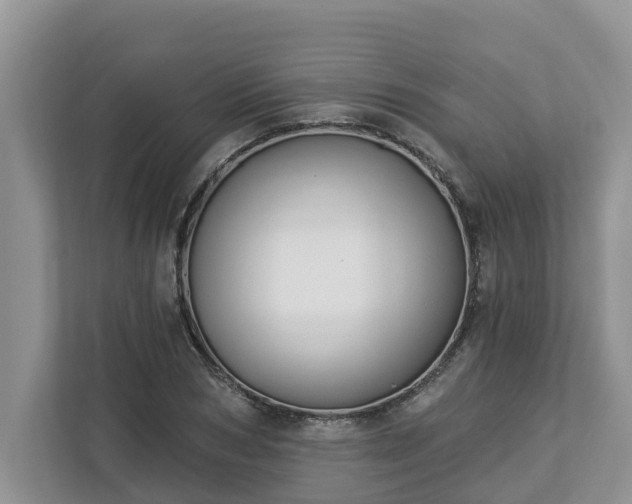 X0000113020978200909031228