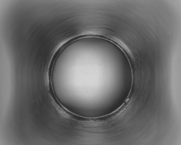 X0000113020980200909031228