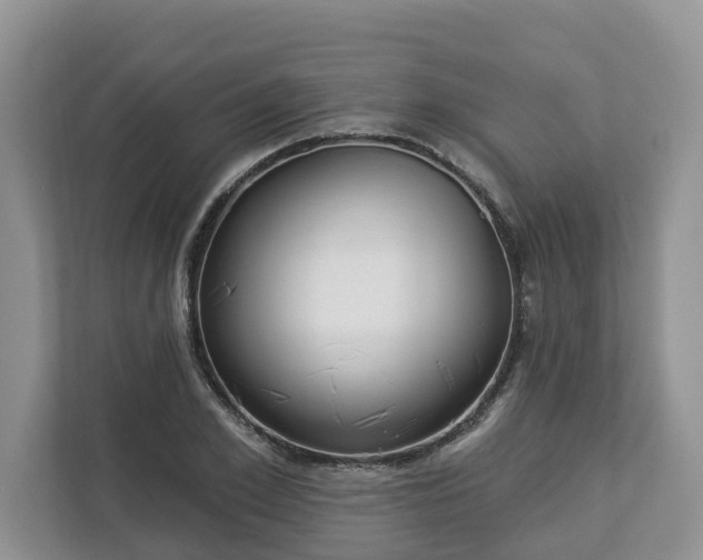X0000113020981200909031228