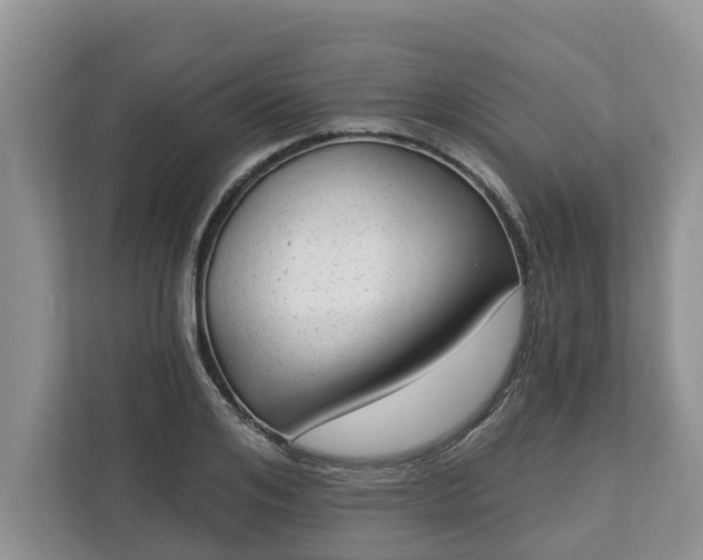 X0000113020984200909031228