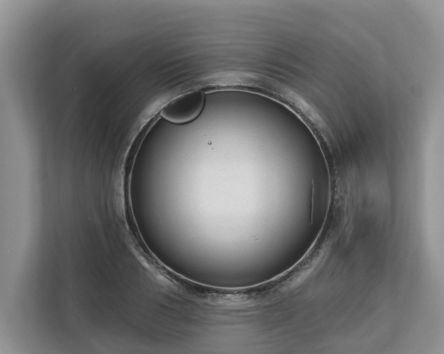 X0000113020986200909031228