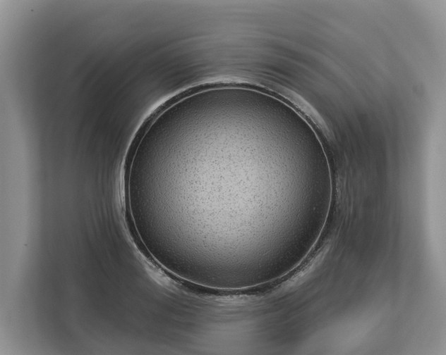 X0000113020988200909031228