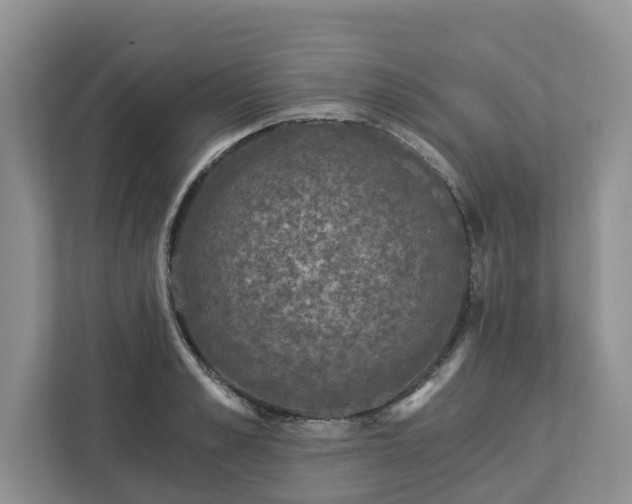 X0000113020989200909031228