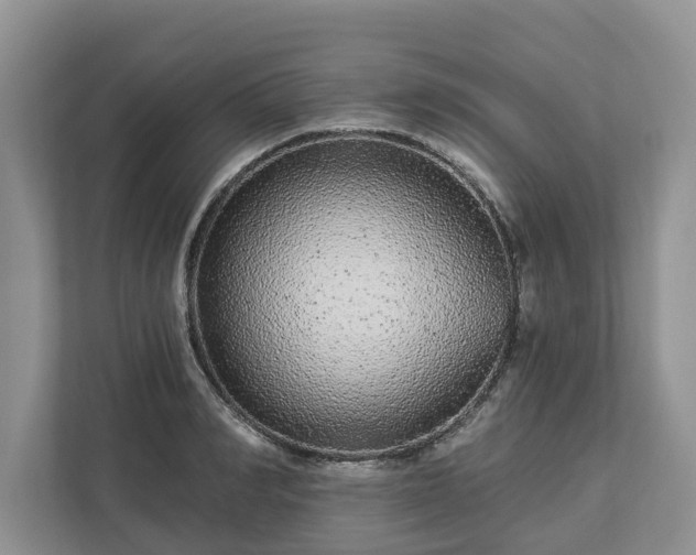 X0000113020990200909031228