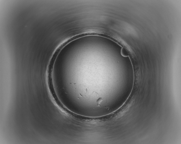 X0000113020991200909031228