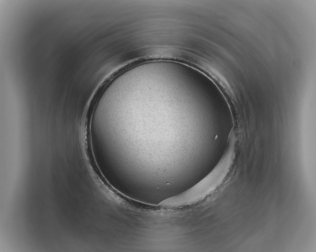 X0000113020992200909031228