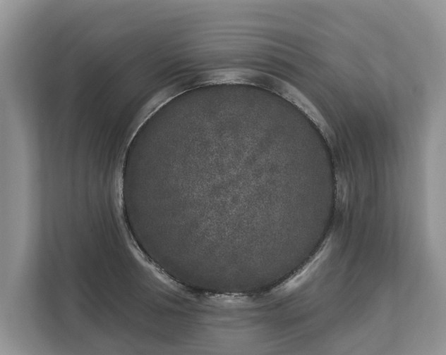 X0000113020994200909031228