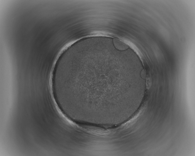 X0000113020995200909031228