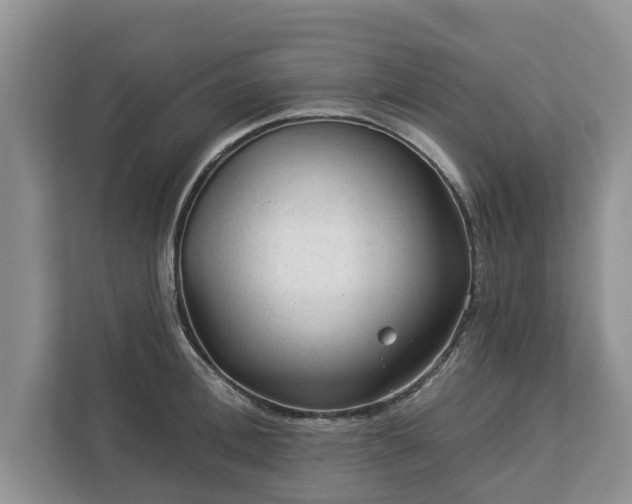 X0000113020996200909031228