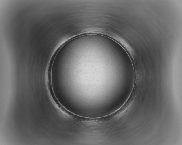 X0000113020999200909031228