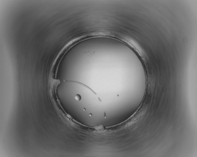 X0000113021000200909031228