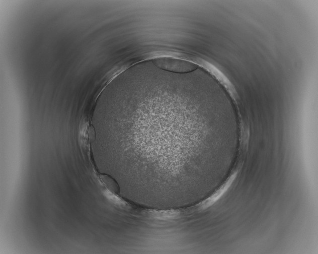 X0000113021001200909031227