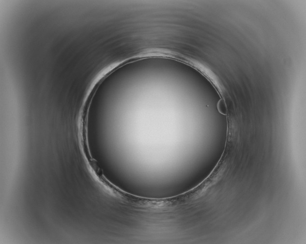 X0000113021003200909031227