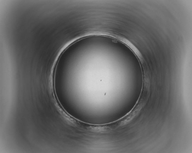 X0000113021004200909031227