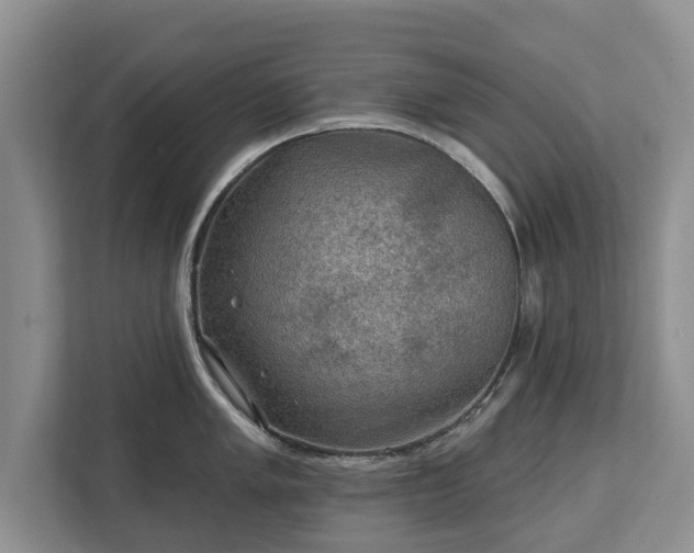 X0000113021005200909031227