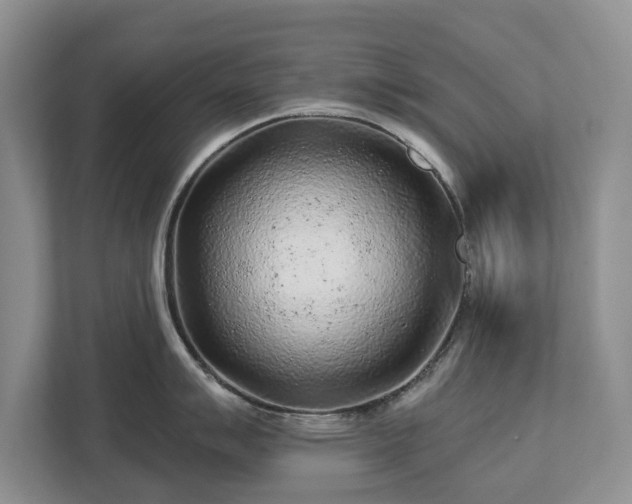 X0000113021007200909031227