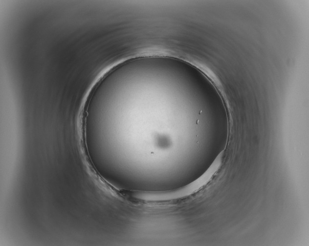 X0000113021008200909031227