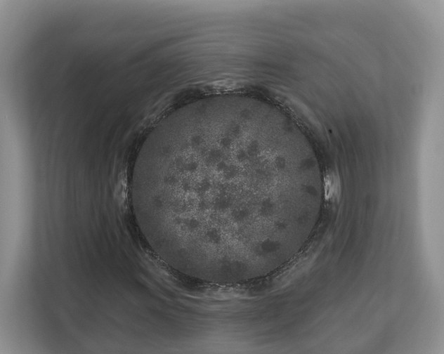 X0000113021011200909031227