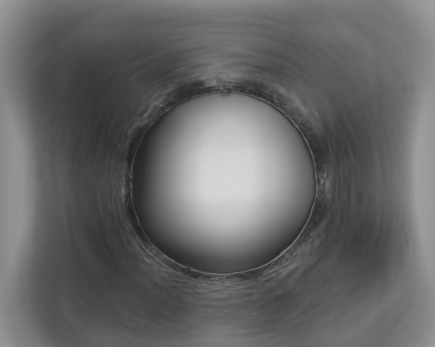 X0000113021012200909031227
