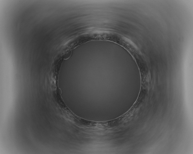 X0000113021013200909031227