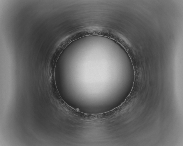 X0000113021016200909031227