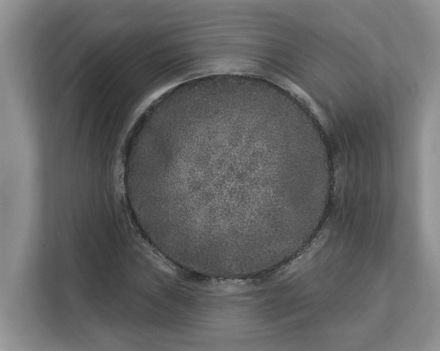 X0000113021019200909031227