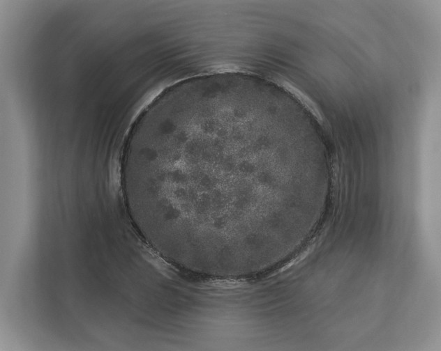 X0000113021023200909031227