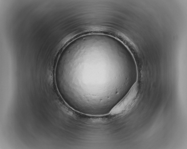 X0000113021025200909031227