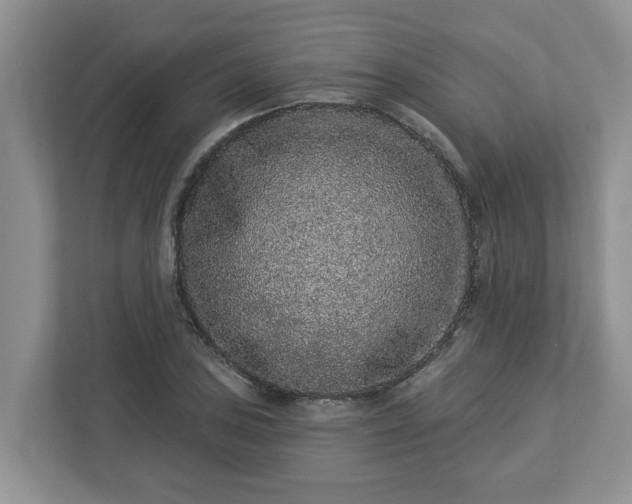 X0000113021027200909031227