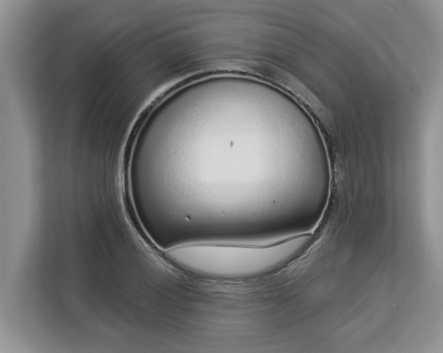 X0000113021028200909031227