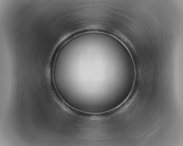 X0000113021029200909031227