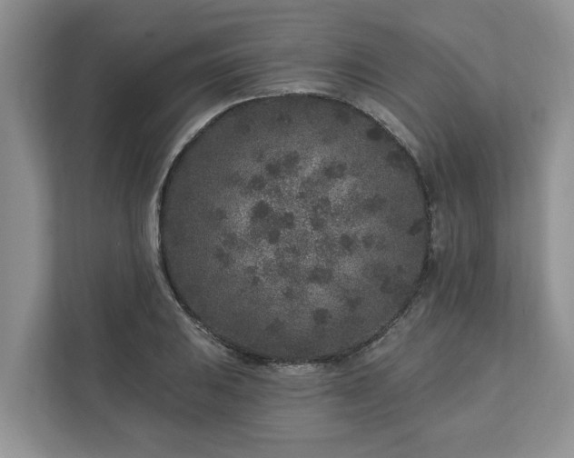 X0000113021031200909031227