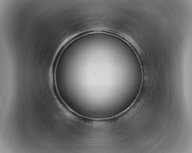 X0000113021032200909031227