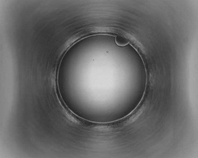 X0000113021033200909031227