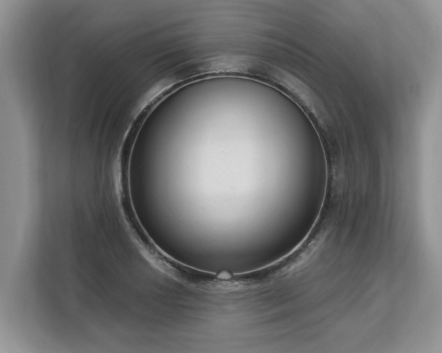 X0000113021034200909031227