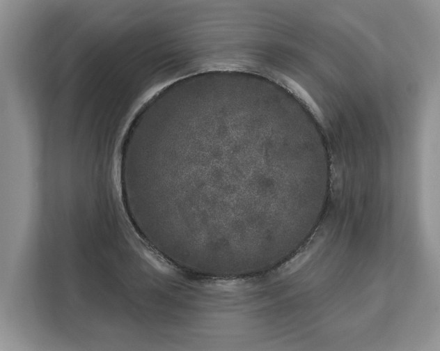 X0000113021035200909031227