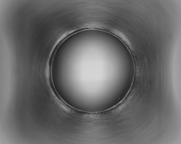 X0000113021040200909031227
