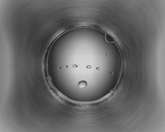 X0000113021042200909031227
