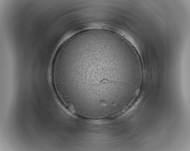 X0000113021045200909031227