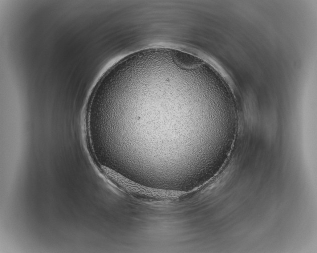 X0000113021048200909031227