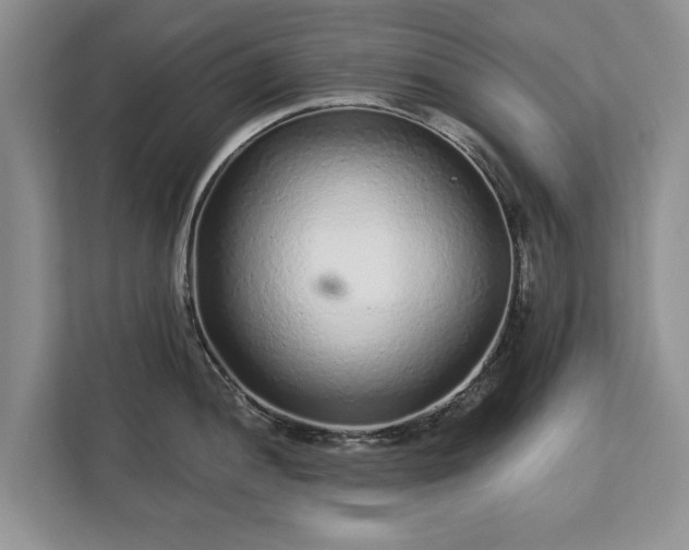 X0000113021052200909031227