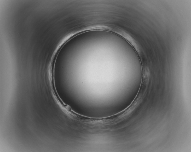 X0000113021054200909031227