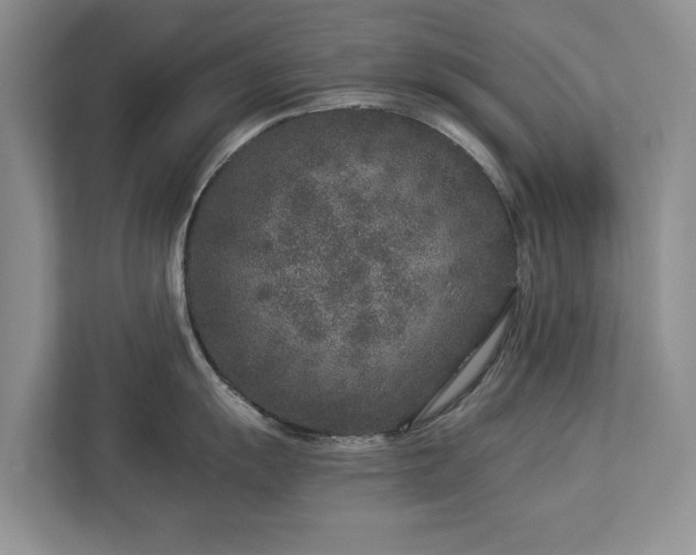 X0000113021055200909031227
