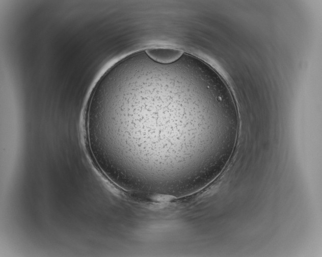 X0000113021056200909031227